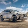 Lexus NX Overtrail décor noir