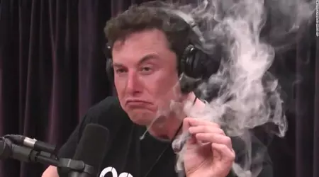 Elon Musk a autorisé la publicité pour la marijuana sur Twitter