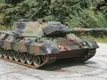 post_big/Leopard_1_2J3CGSX.jpg