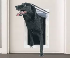 PERFECT PET La porte pour chien ...