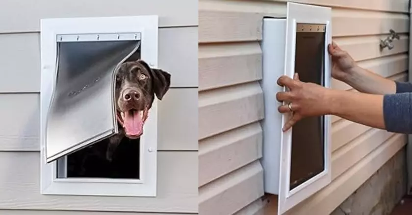 PetSafe New Wall Entry porte électronique pour chien
