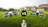 DJI Neo vs DJI Flip : Comparatif