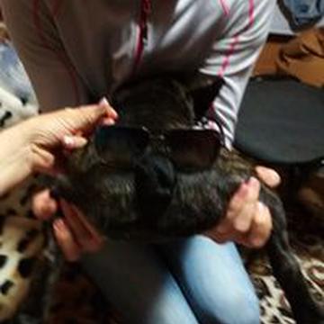 Лёша Степанов