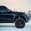Éléments de design du Q6 Sportback E-Tron