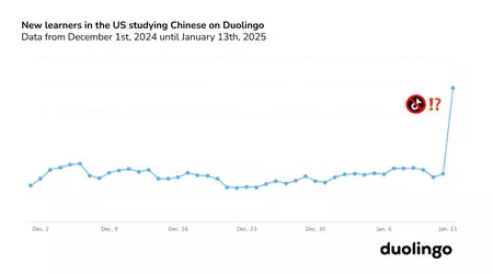 TikTok sur la sellette, Duolingo au sommet : hausse inattendue de la popularité