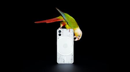 Nothing Phone (1) aura bientôt une version bêta d'Android 14