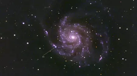 Les scientifiques ont diffusé en direct l'éclair de l'une des supernovae les plus brillantes de ces dix dernières années.