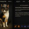Scène de chat avec différents objets