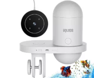 Nourrisseur automatique de poissons Wolmds avec ...