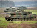 post_big/Leopard_2.jpeg