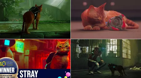 L'histoire de Stray : comment un chat d'une cybercité est devenu la découverte de l'année et a influencé l'industrie du jeu.