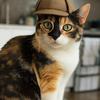 Un chat avec un chapeau de détective