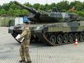 post_big/Leopard_2_p2i2d5h.jpg