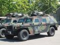post_big/Mowag_Eeagle.jpg