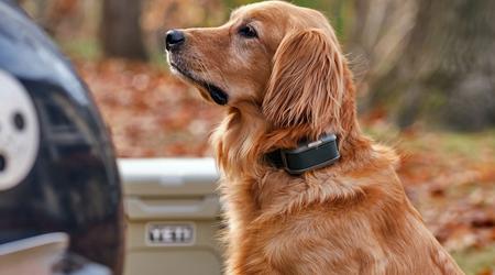 La première laisse virtuelle pour chien au monde a été dévoilée. Mais les défenseurs des droits des animaux n'apprécieront pas
