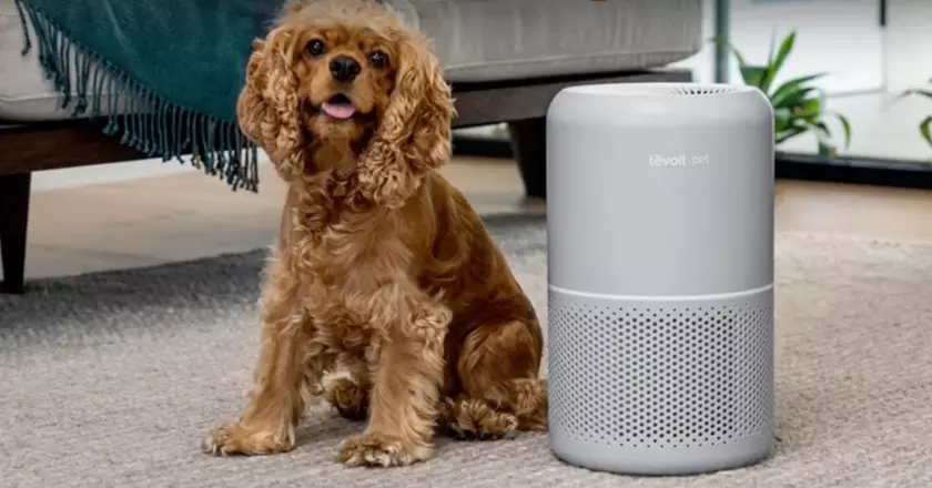 LEVOIT Core 300S purificateur d'air pour odeur de chat