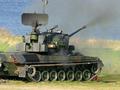 post_big/Gepard_nvEo50i.jpg