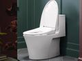 post_big/Kohler_PureWash_E930_SMM.jpg