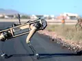 post_big/V60_Q-UGV_Robot_Dogs.JPG