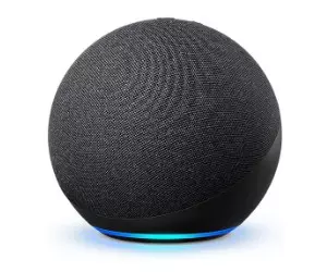 Enceinte domestique Amazon Echo