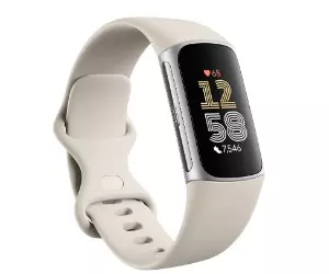 Fitbit Charge 6 Fitness et tracker ...