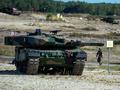 post_big/Leopard_2P.jpg