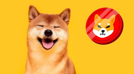 La sœur de Mark Zuckerberg exhorte à acheter la crypto-monnaie Shiba Inu, dont le prix a augmenté de 90 000 000% depuis son lancement