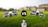 DJI Neo vs DJI Flip : Comparatif