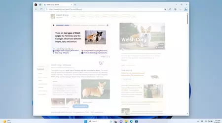 Microsoft lance Bing Stories, qui affiche brièvement des informations sur une requête de recherche