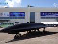 post_big/WZ-8-2.jpg