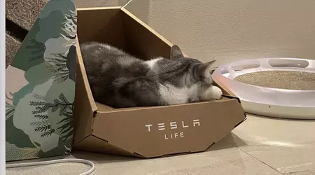 Il semblerait que Tesla ait volé à une entreprise taïwanaise le design d'une chaise longue pour chat de type "Cybertruck".