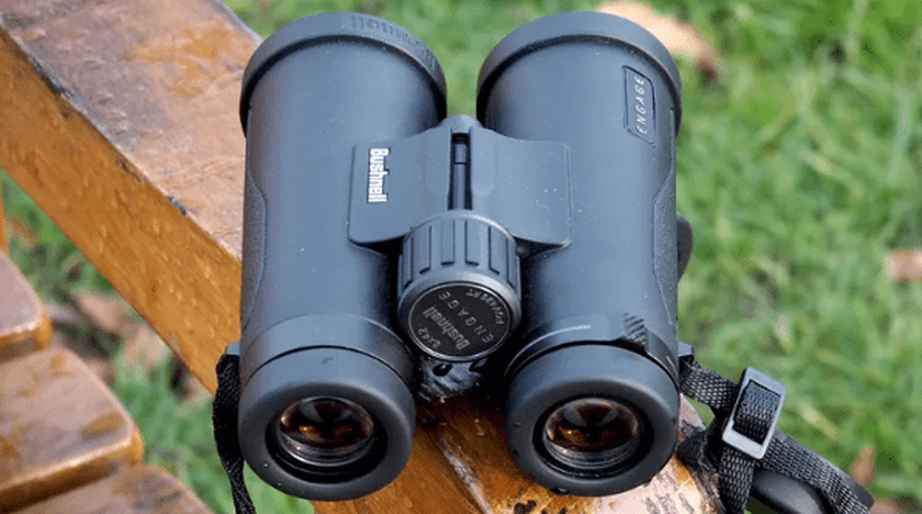 Jumelles compactes Bushnell 8x42 Engage 8x42