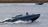 Premiers détails sur la destruction de deux SU-30 russes en mer Noire : une nouvelle modification du drone maritime Magura équipé de missiles AIM-9 a été utilisée