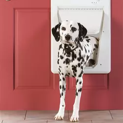 Porte électronique pour chiens et chats PetSafe SmartDoor