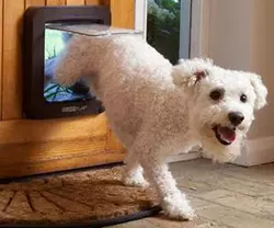 Porte pour animaux SureFlap avec puce électronique