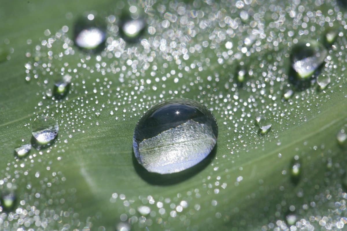 Les scientifiques ont filmé le processus de formation de l'eau à l'aide de la nanotechnologie. Les scientifiques ont filmé le processus de formation de l'eau à l'aide de la nanotechnologie.