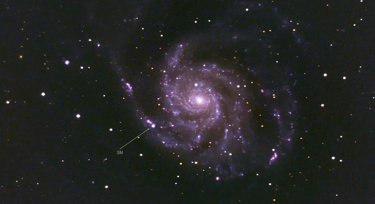Les scientifiques ont diffusé en direct l'éclair de l'une des supernovae les plus brillantes de ces dix dernières années. Les scientifiques ont diffusé en direct l'éclair de l'une des supernovae les plus brillantes de ces dix dernières années.