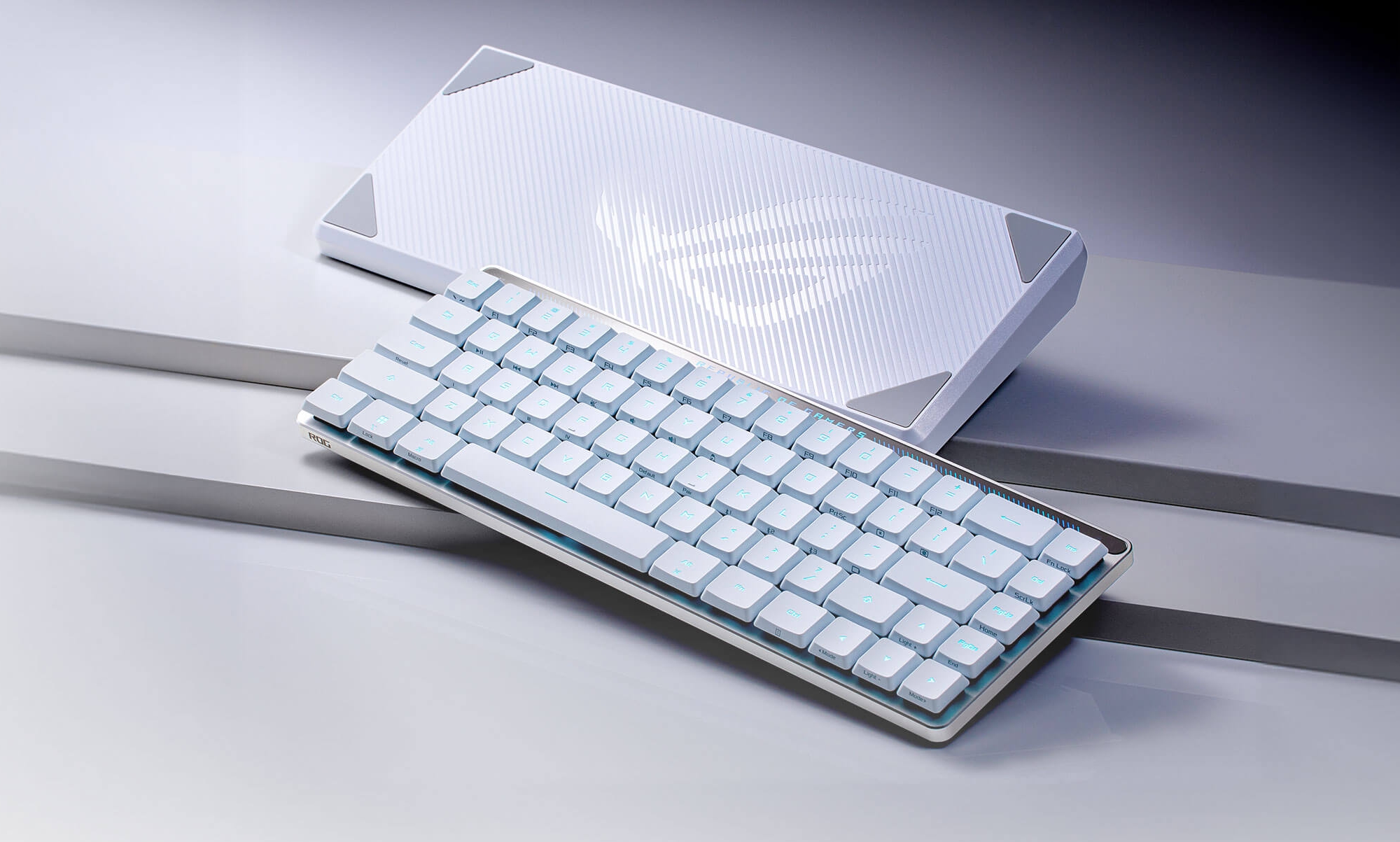 Le clavier de jeu ASUS ROG Falchion RX Low Profile arrive en Ukraine Le clavier de jeu ASUS ROG Falchion RX Low Profile arrive en Ukraine