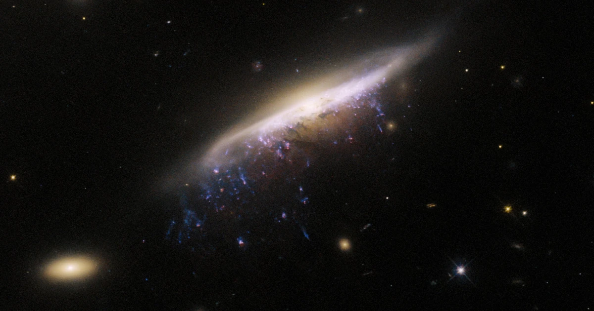 Hubble a photographié une méduse galactique à 800 millions d'années-lumière de la Terre. Hubble a photographié une méduse galactique à 800 millions d'années-lumière de la Terre.