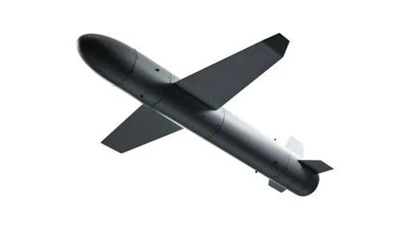La Lituanie investit 10 millions d'euros dans la production du missile drone à longue portée "Palyanytsia". La Lituanie investit 10 millions d'euros dans la production du missile drone à longue portée "Palyanytsia".