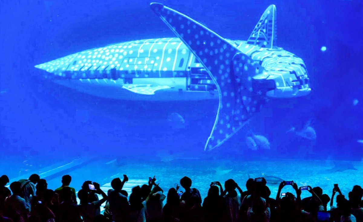 Rendez-nous notre argent ! Les visiteurs d'un océanarium chinois s'indignent de voir un requin robotisé au lieu d'un géant des mers vivant.