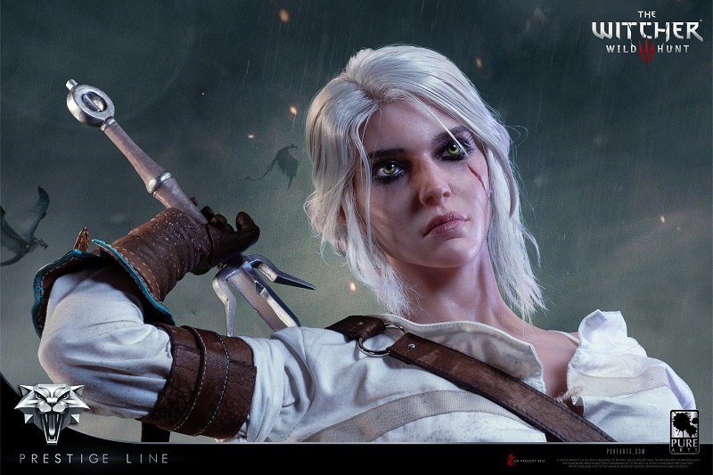 Héraut dans le style de The Witcher Héraut dans le style de The Witcher