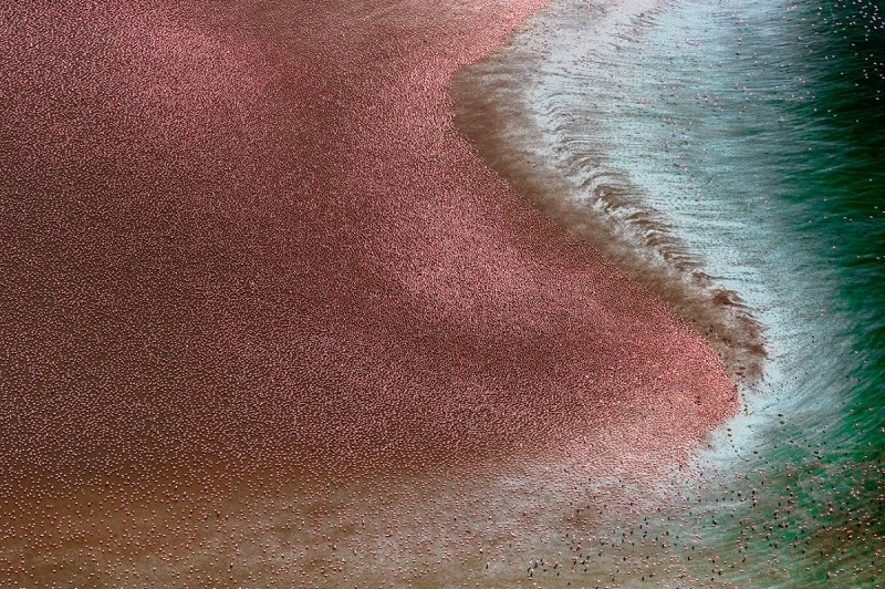 Le monde à travers les yeux des drones : découvrez les meilleures photos des Drone Photo Awards 2024-4 Le monde à travers les yeux des drones : découvrez les meilleures photos des Drone Photo Awards 2024-4