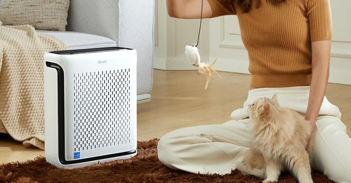 meilleurs purificateurs d'air pour chats 2025 meilleurs purificateurs d'air pour chats 2025