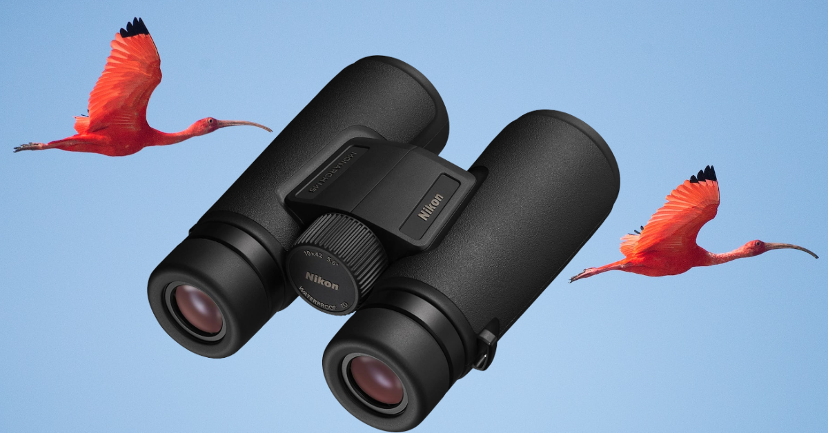 meilleures petites jumelles pour l'ornithologie meilleures petites jumelles pour l'ornithologie