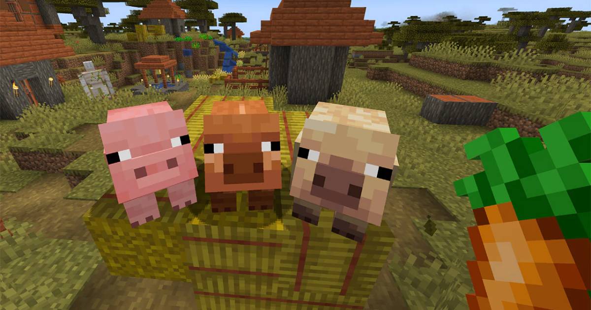 Nouveaux types de cochons dans Minecraft