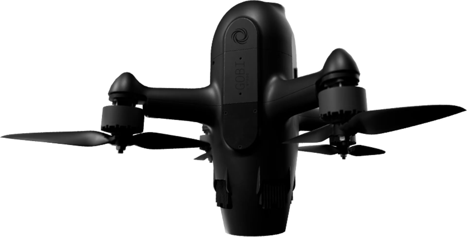 Groupe de drones Gobi