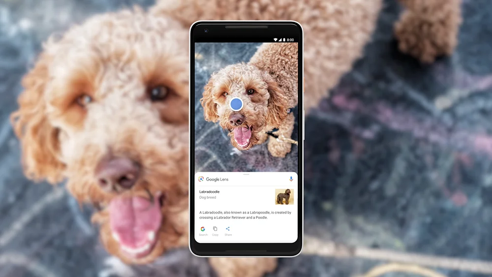 Google Lens génère des réponses basées sur l'IA pour la recherche visuelle Google Lens génère des réponses basées sur l'IA pour la recherche visuelle