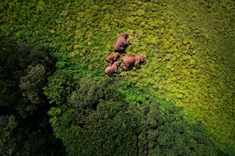 Le monde à travers les yeux des drones : découvrez les meilleures photos des Drone Photo Awards 2024-8 Le monde à travers les yeux des drones : découvrez les meilleures photos des Drone Photo Awards 2024-8