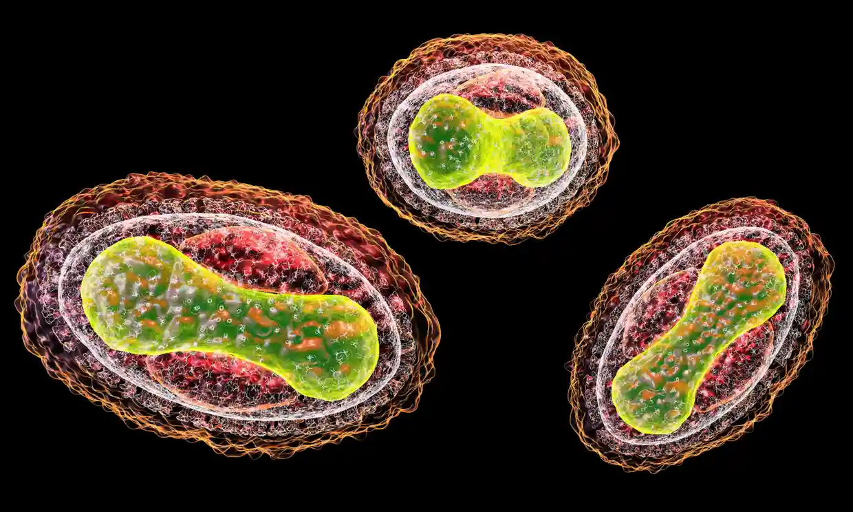 Une étude montre que les chatbots basés sur l'IA pourraient aider à planifier une attaque biologique
